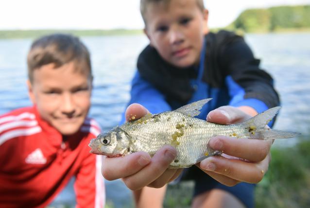 Kapásra várva tanulni is lehet, például a környezettudatosságról!
