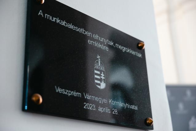 Megemlékezést tartottak a Megyeházán