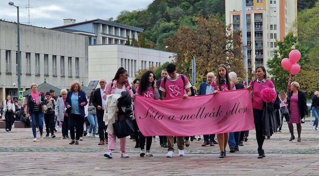 Rozsaszin seta 2024_2 Rozsaszin seta 2024_2