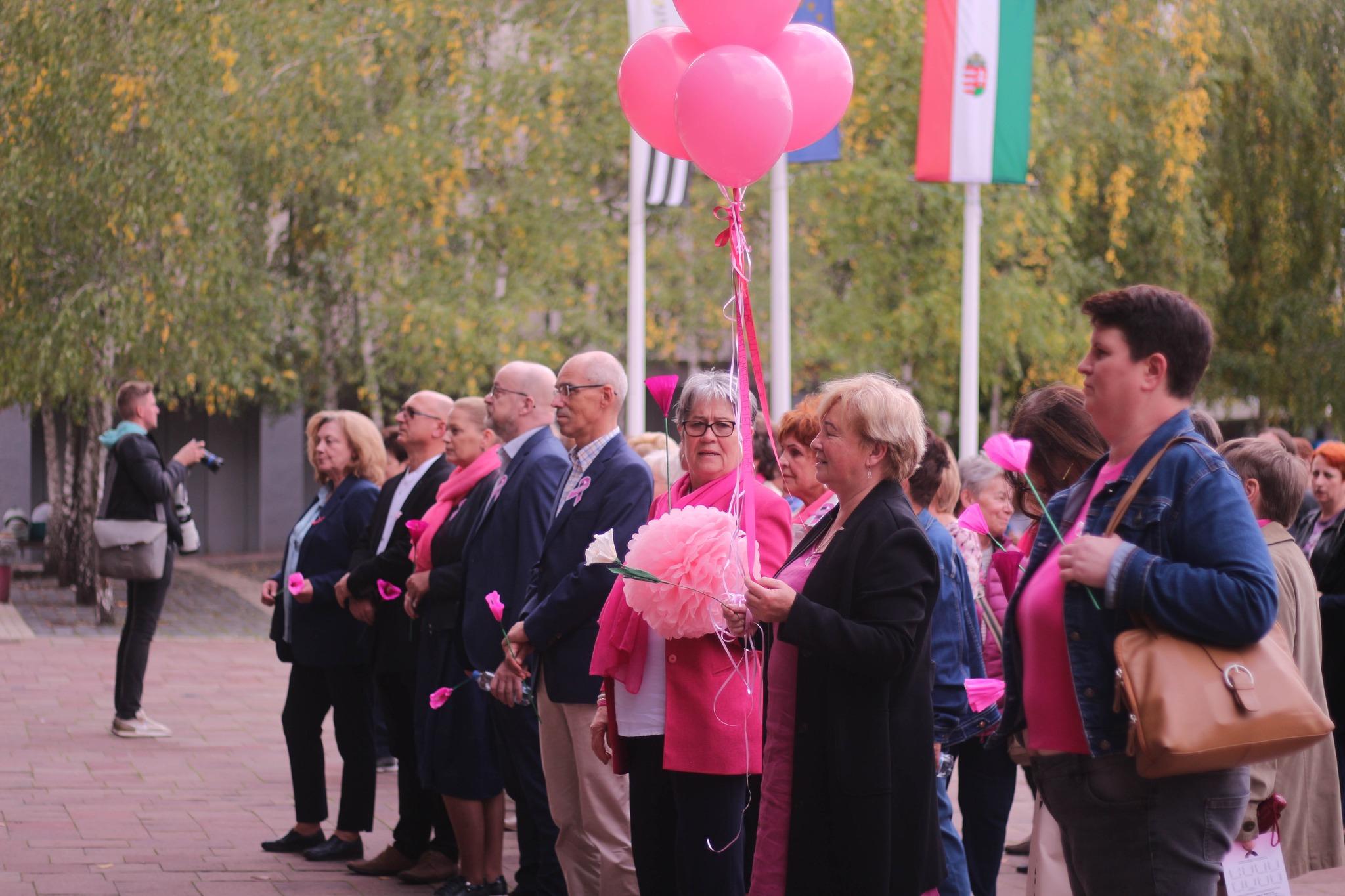 Rozsaszin seta 2024_1 Rozsaszin seta 2024_1